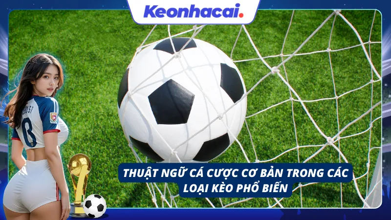 Tổng quan những thuật ngữ cá cược cơ bản trong kèo bóng